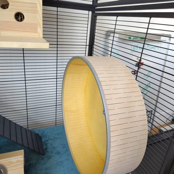 Image showcasing Hamster Running Wheel 11'' Diameter 3.15'' Wide (28cm X 8cm) - Etsy