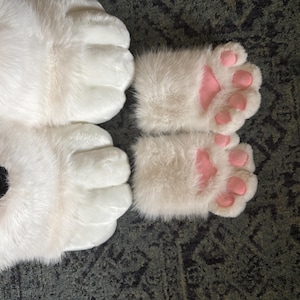 Rachel added a photo of their purchase