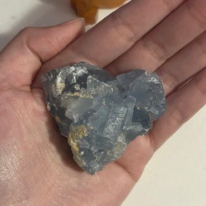 Sofia added a photo of their purchase