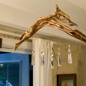 Celine added a photo of their purchase