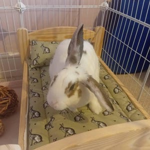 Phoebe heeft een foto van de aankoop toegevoegd
