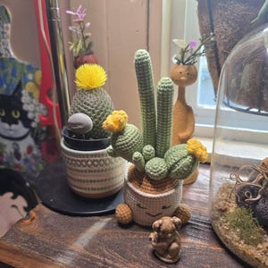 Lynn さんが購入した商品の写真を追加しました