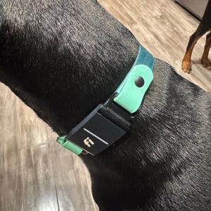 Whitney added a photo of their purchase