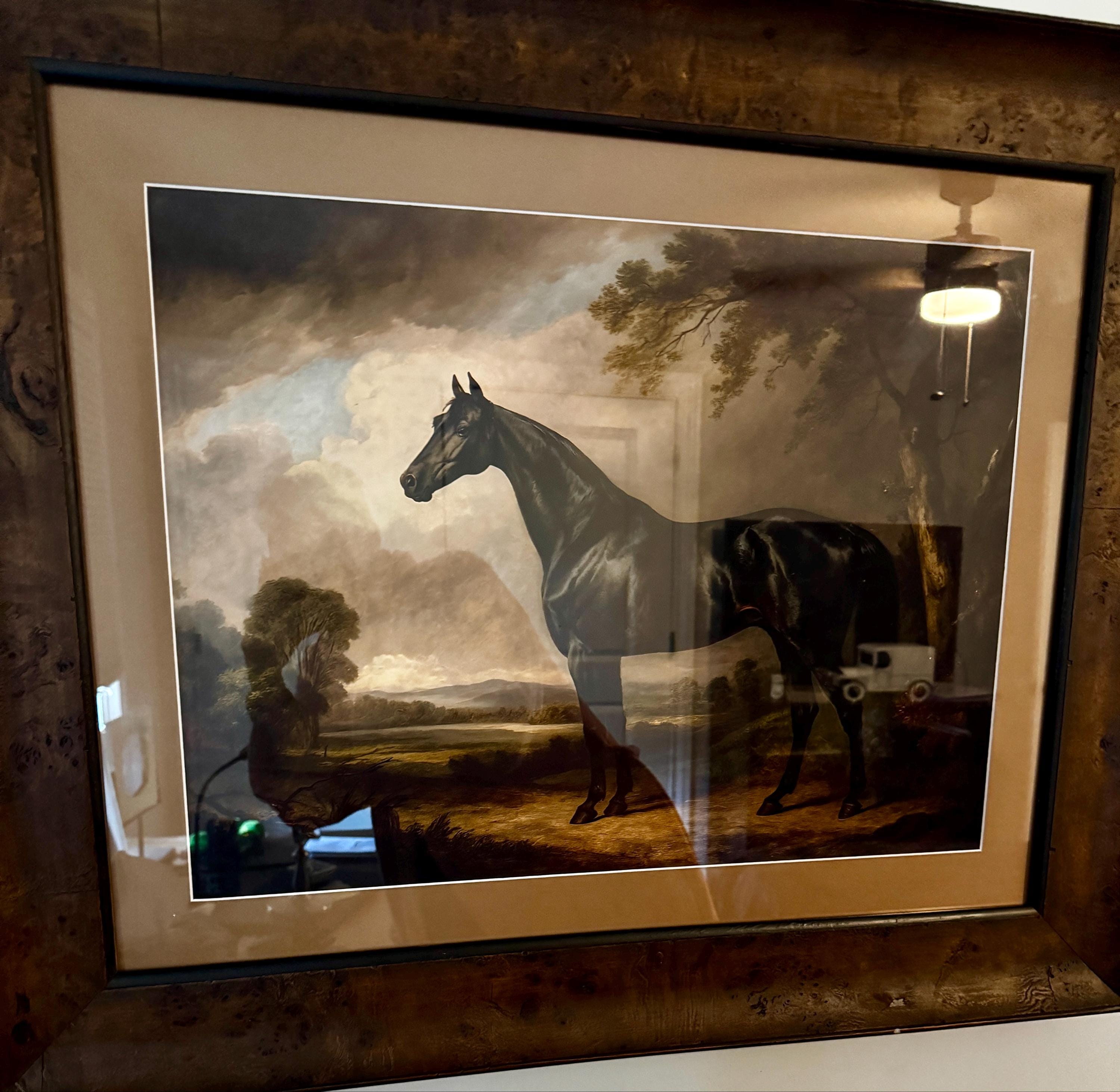 Customer photo — Black Horse Wall Art – Framed Equestrian Decor