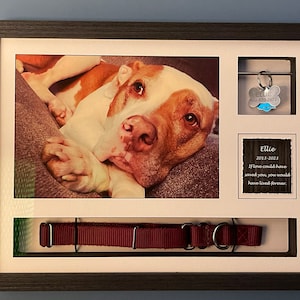 Comprador Etsy adicionaram uma foto da sua compra