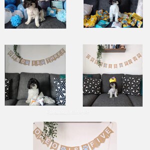 Meg added a photo of their purchase