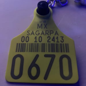 Jose added a photo of their purchase