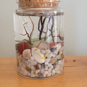 Holly added a photo of their purchase