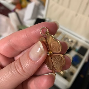 Lesley added a photo of their purchase