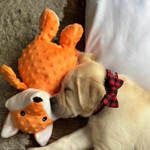Scarlett added a photo of their purchase