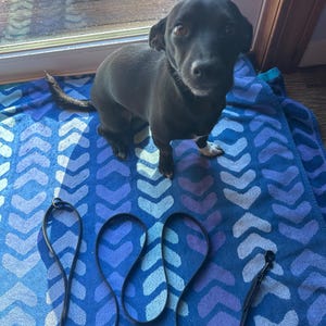 Nats added a photo of their purchase