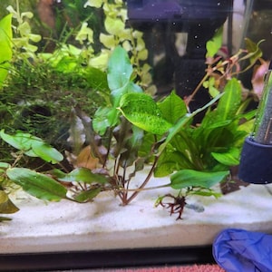 Valerie added a photo of their purchase