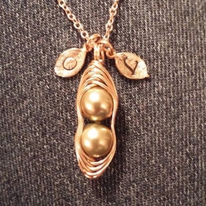 Erin added a photo of their purchase
