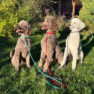 Luc added a photo of their purchase