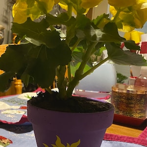 Brooke ha añadido una foto de su compra