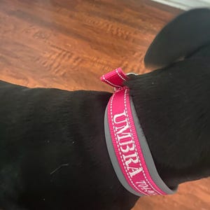 Christina added a photo of their purchase