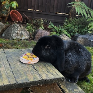 Natasha added a photo of their purchase