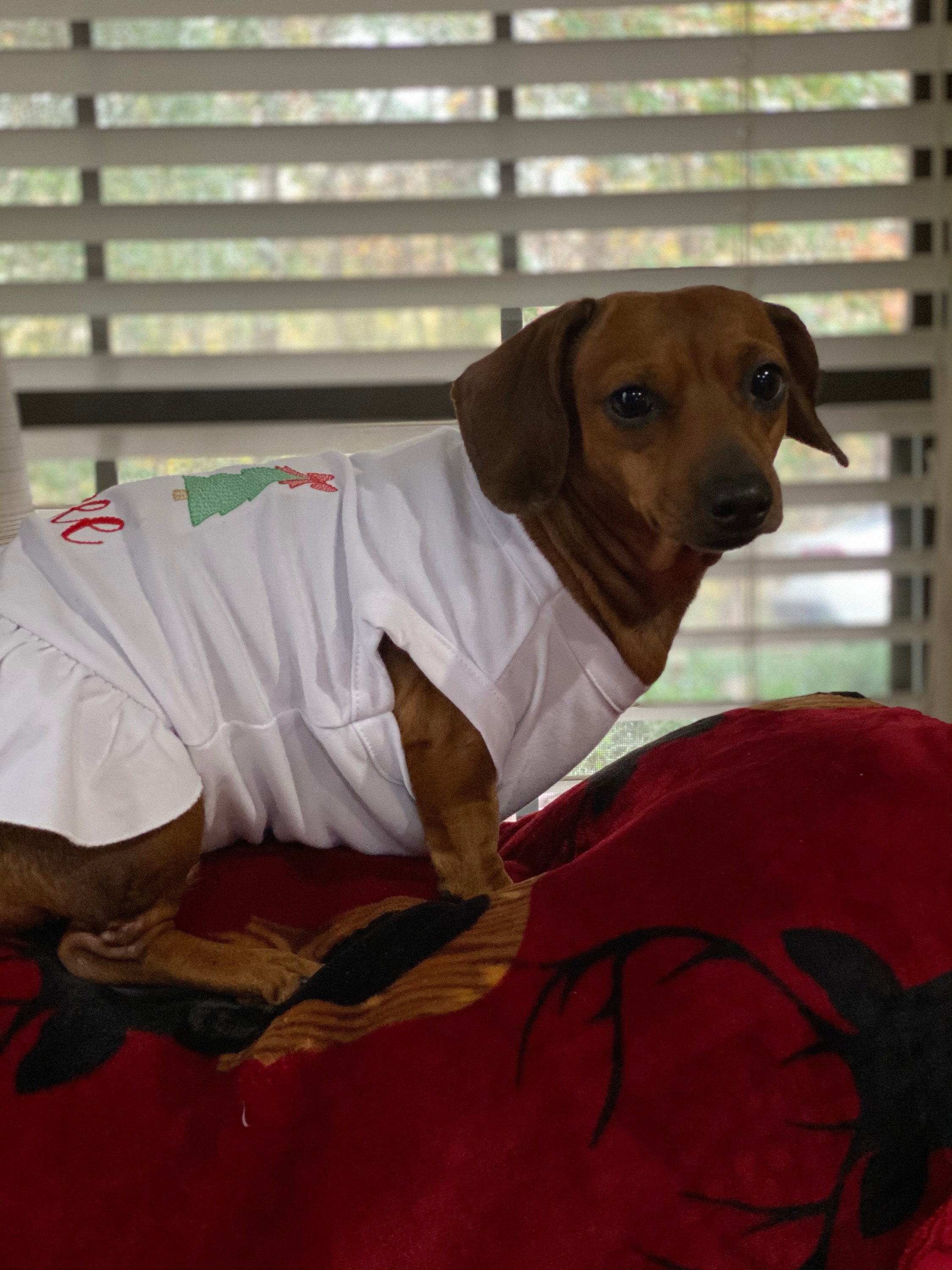 Christmas Dog Shirt or Dress, Christmas Bow Tree Sketch Trio Monogrammed Shirt, Beautiful Personalized Embroidered Holiday Puppy Clothing