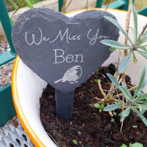 Fiona added a photo of their purchase
