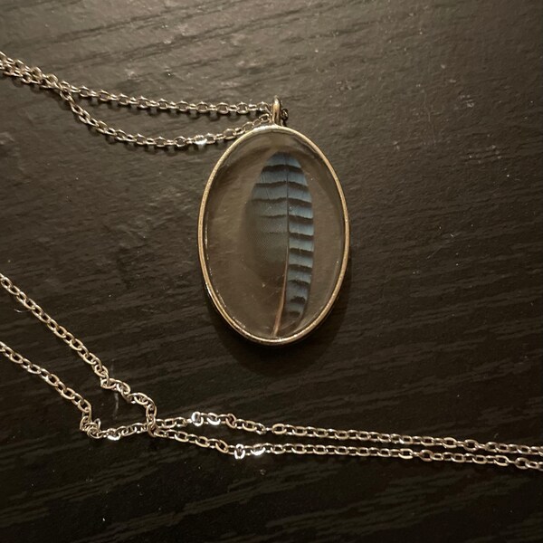 spalted maple wood blanks