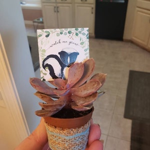 Jacqui added a photo of their purchase