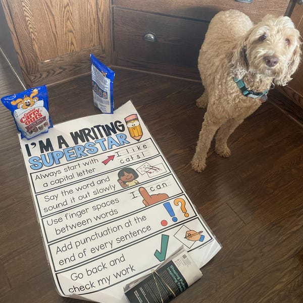 Magic E Anchor Chart [hard Good] - Etsy