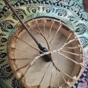 Inês image