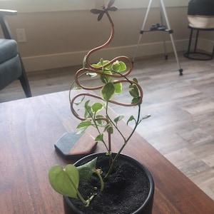 Connie added a photo of their purchase