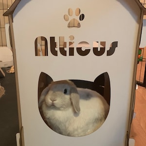 Ashley ha añadido una foto de su compra