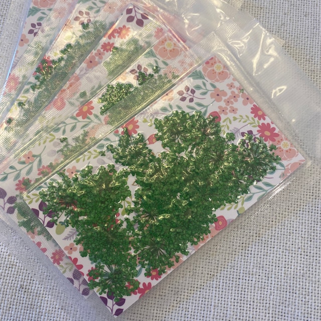 24 pieces per package 2.5-3cm Minoan Lace real Dried Flowers Pressed F –  CoolDIY® Mold