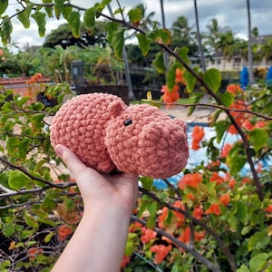Liz heeft een foto van de aankoop toegevoegd