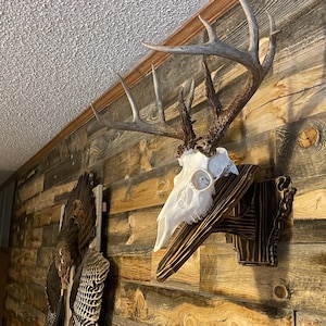 Arkansas Wall Pedestal - Etsy Singapore