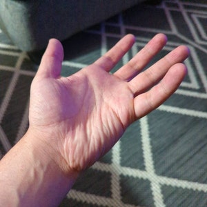 josh added a photo of their purchase