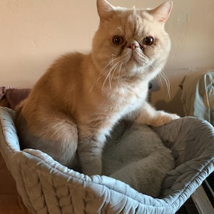 Greta added a photo of their purchase