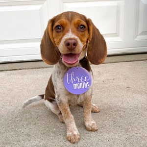 Jessica added a photo of their purchase