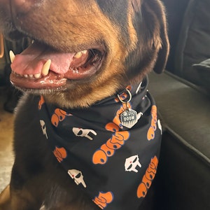 Lostin added a photo of their purchase