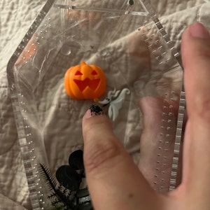 Victoria added a photo of their purchase