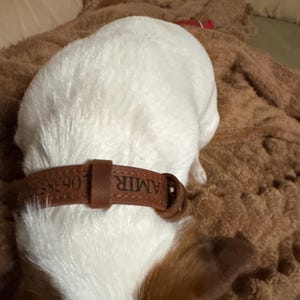 Sandrine added a photo of their purchase