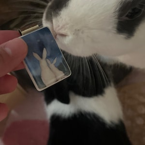 Destiny added a photo of their purchase