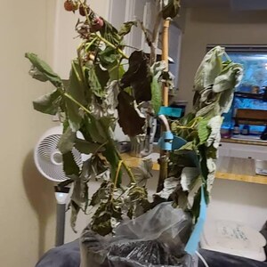 John added a photo of their purchase