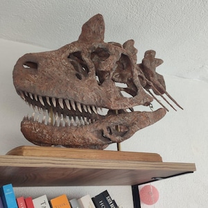 Emre added a photo of their purchase