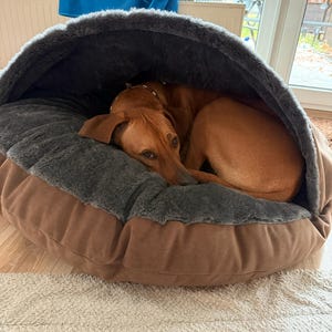 Melanie added a photo of their purchase