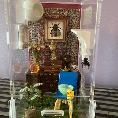 Picture Perfect Jumping Spider Enclosure Habitat,4x4x8, Jumping Spider ...