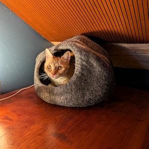 Elisha added a photo of their purchase