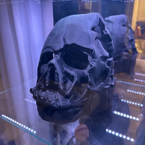 Oscar added a photo of their purchase