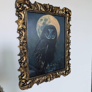 Felix added a photo of their purchase