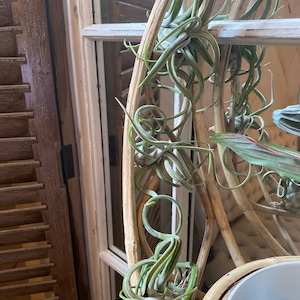 Andra added a photo of their purchase