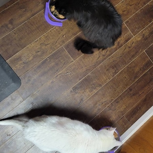 Kimm added a photo of their purchase