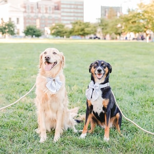 Alyssa added a photo of their purchase