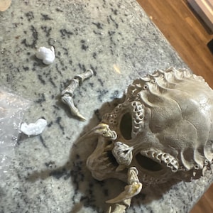 Alika-Makoa added a photo of their purchase
